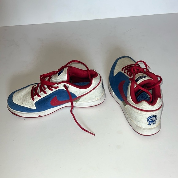 Nike SB Zoom PABST PBR RARE skate shoe